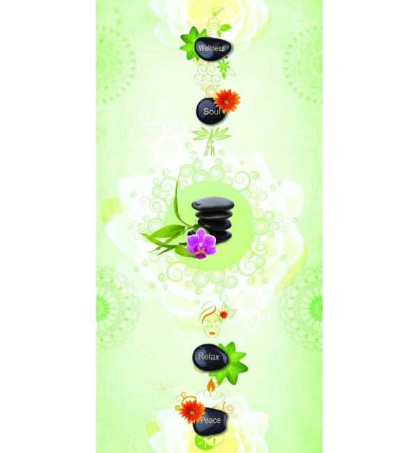 Welness 3 Laminate Sheets With Super Gloss (SGL) Finish From Greenlam