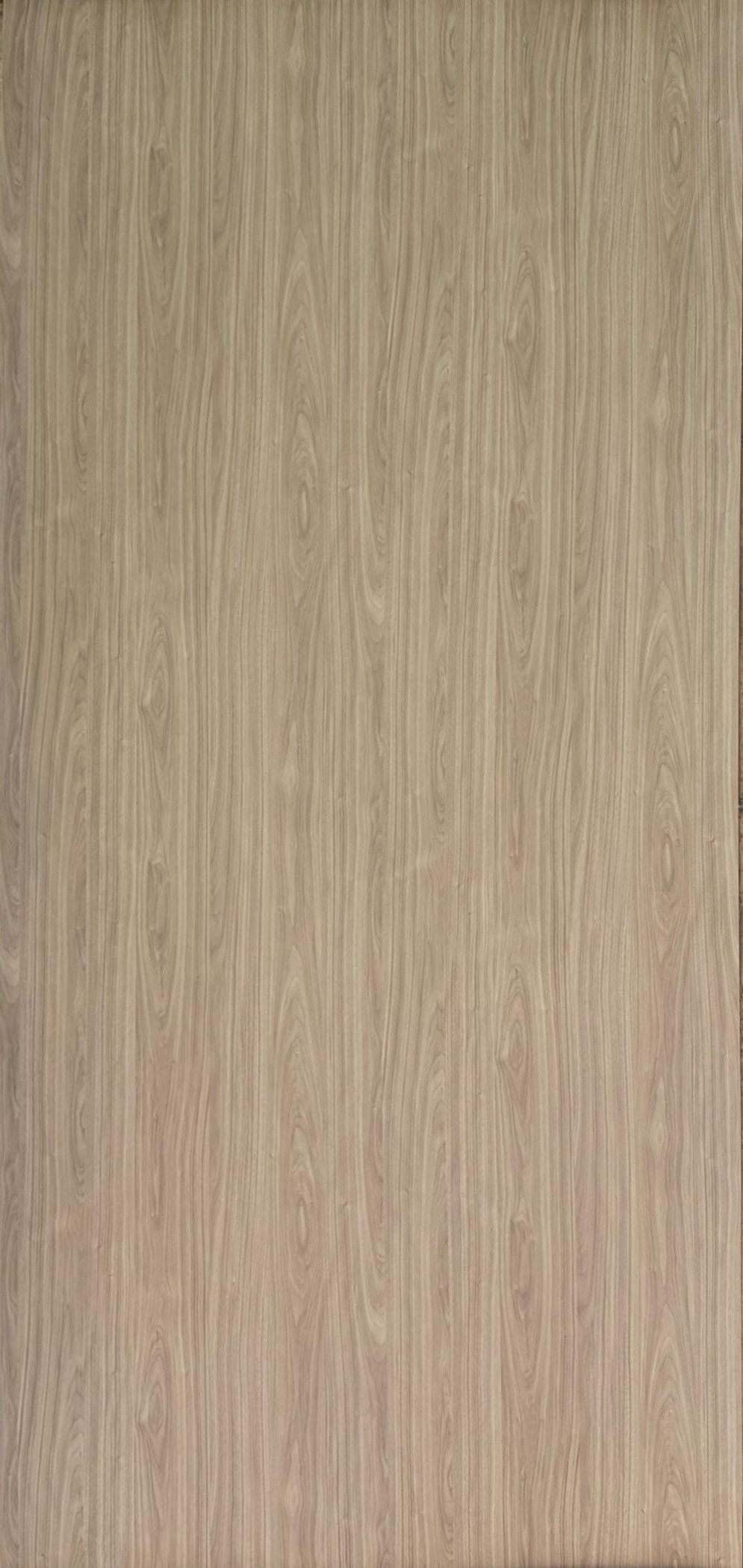 Nordic Walnut