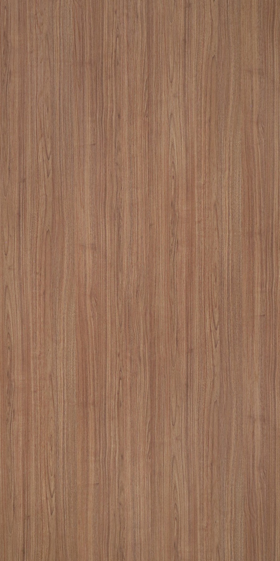 Saturno Walnut